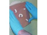 Bonding Paste